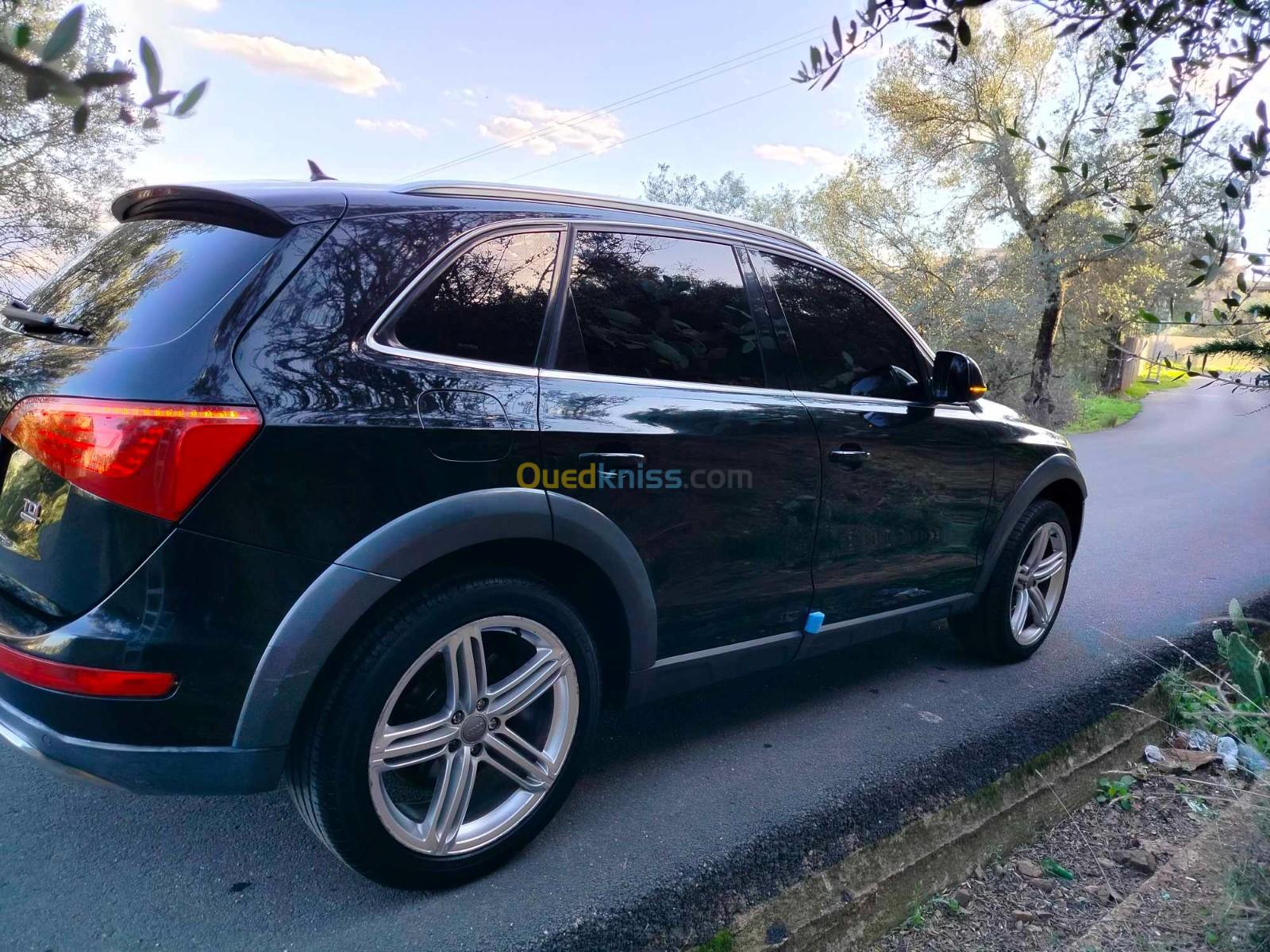 Audi Q5 2010 Off Road