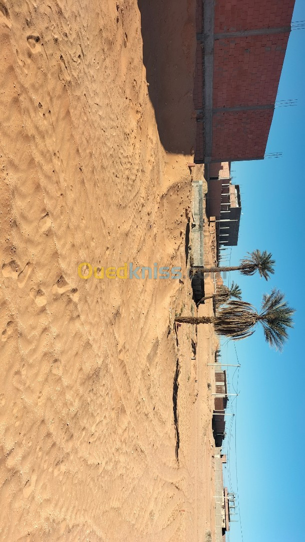 Vente Terrain Ouargla Ouargla