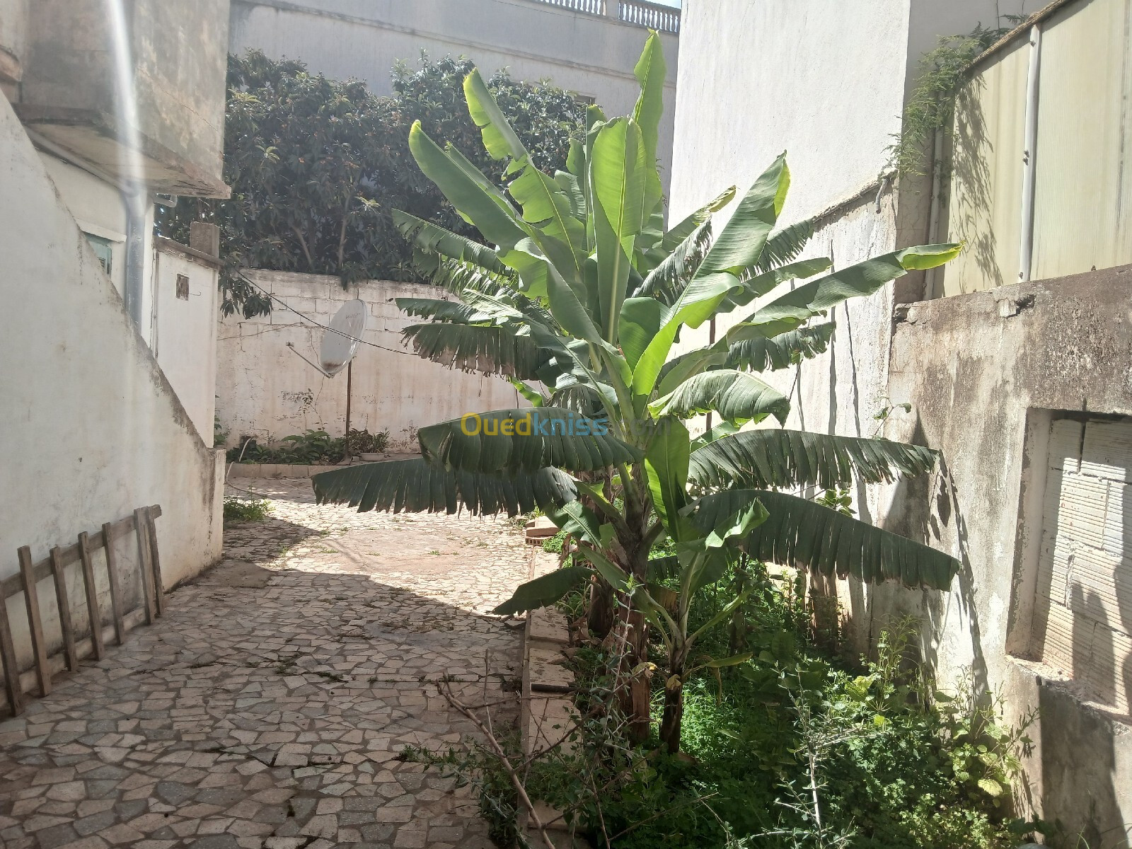 Vente Villa Alger Mohammadia