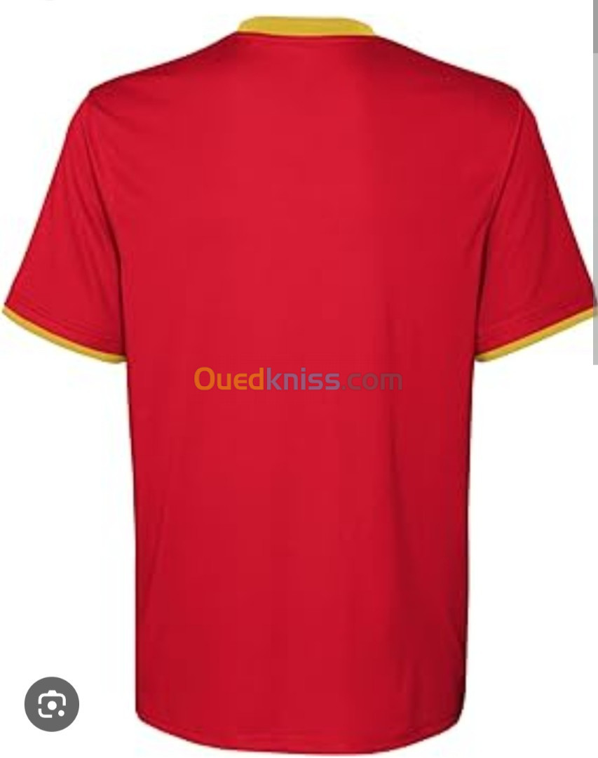 T-shirt maillot Espagne original 