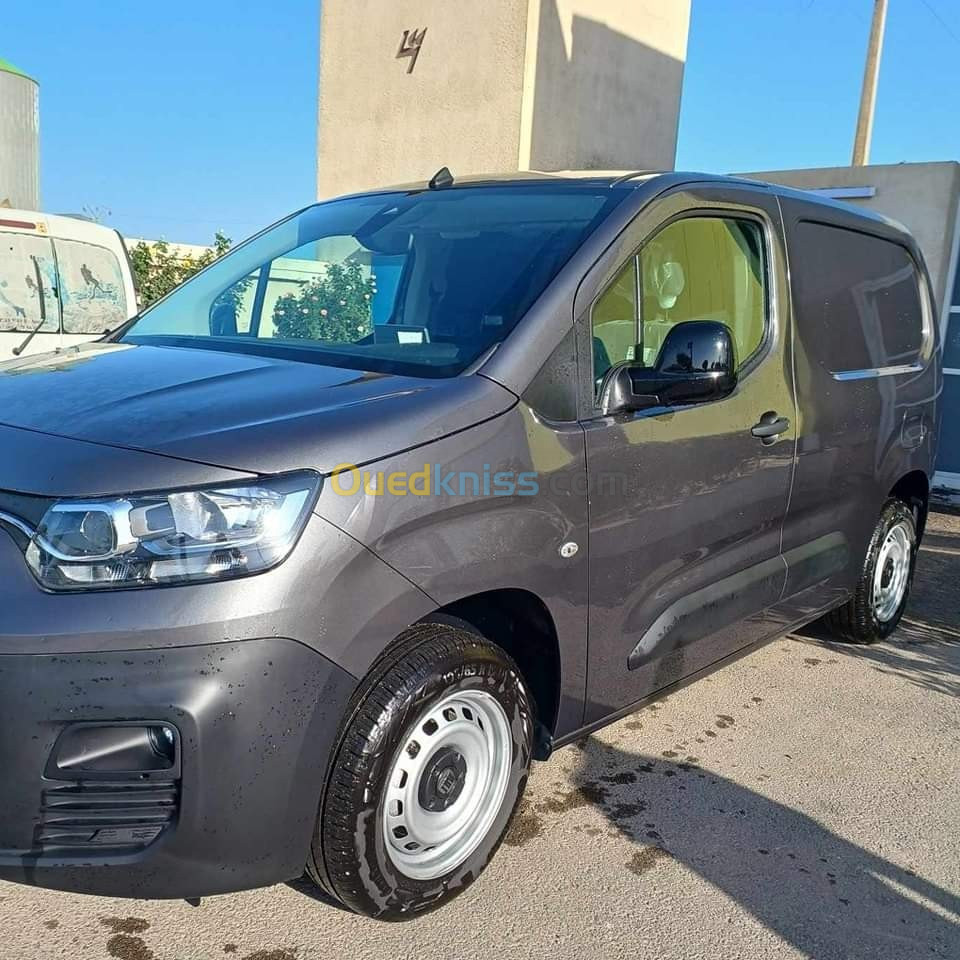 Fiat Doblo professionnel 2023 Commercial