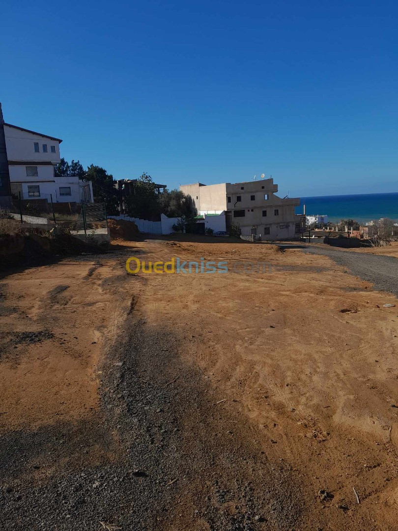 Vente Terrain Tipaza Fouka