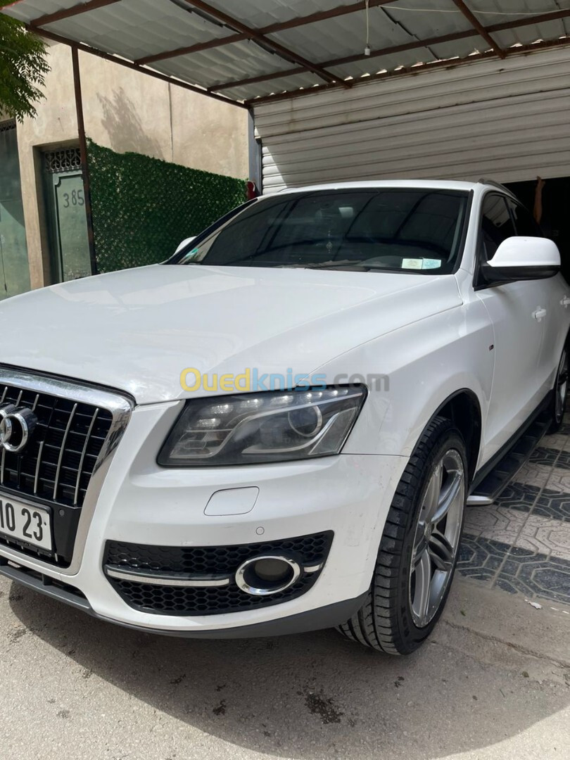 Audi Q5 2010 