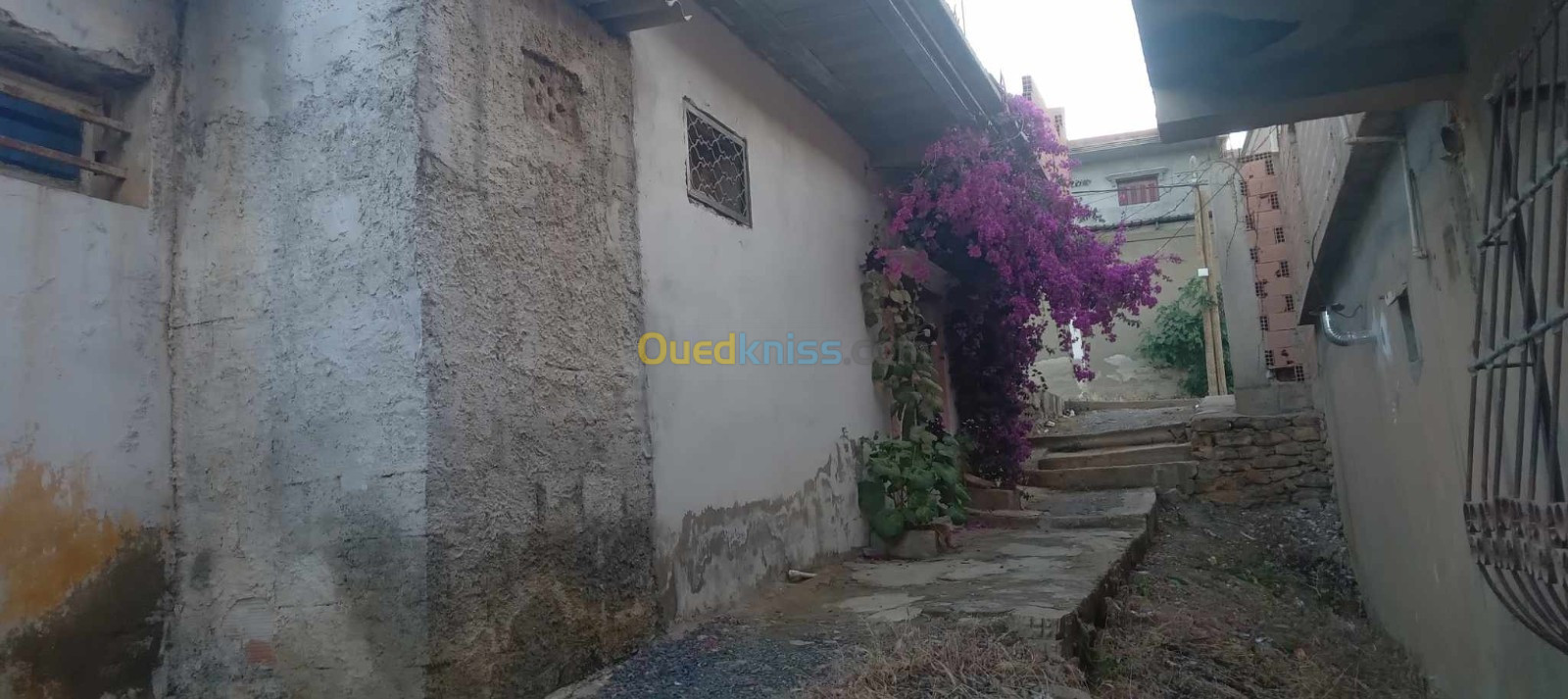 Vente Appartement F4 Aïn Defla Oued chorfa