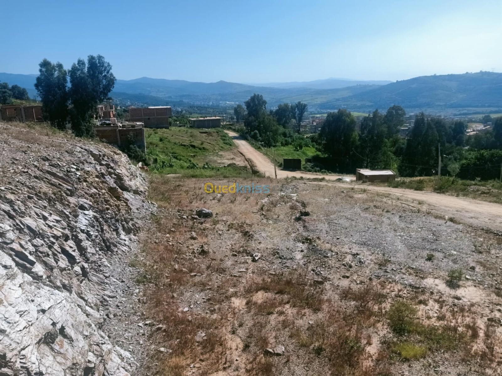 Vente Terrain Boumerdès Ouled moussa