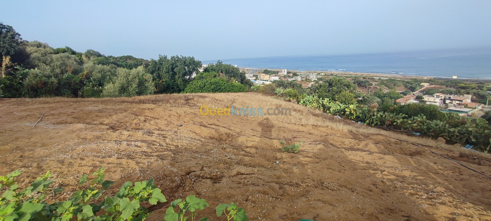 Vente Terrain Jijel Sidi abdelaziz