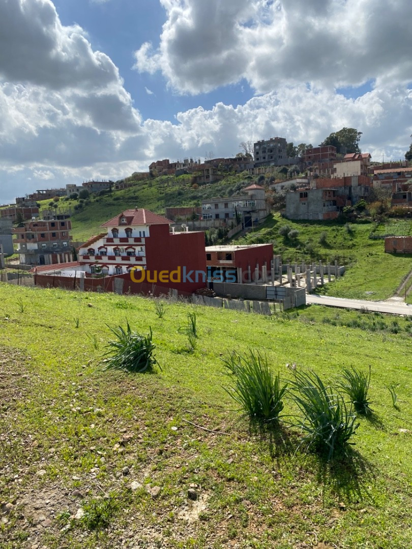 Vente Terrain Boumerdès Tidjelabine