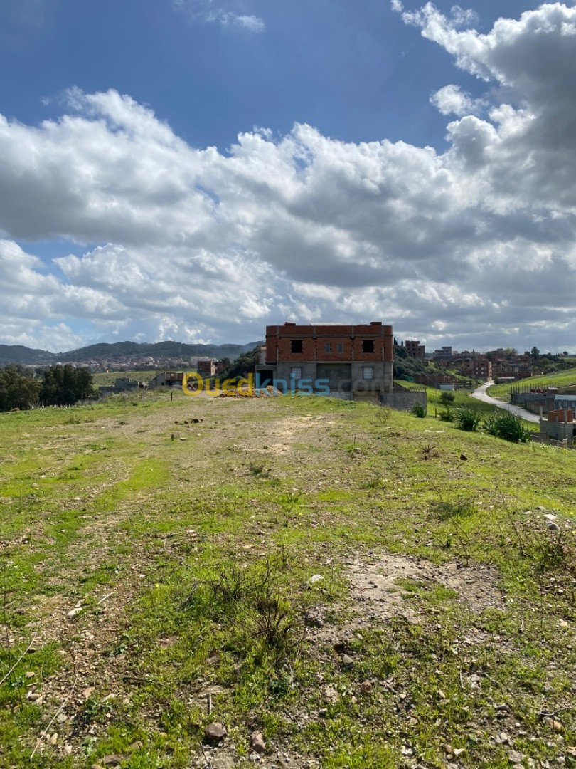 Vente Terrain Boumerdès Tidjelabine