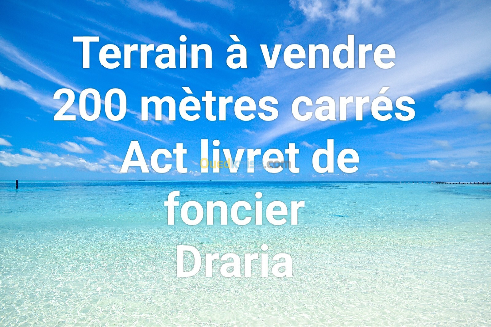 Vente Terrain Alger Draria