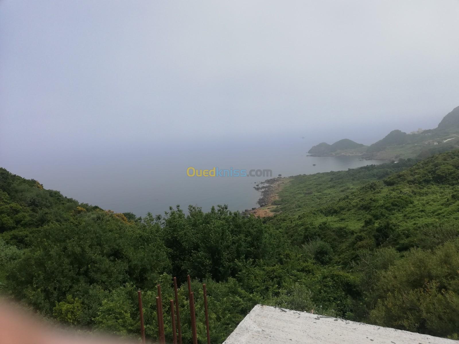 Vente Terrain Jijel El aouana