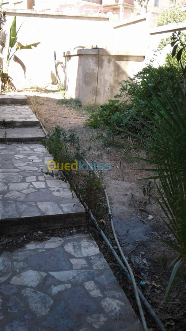 Vente Villa Skikda Ramdane djamel