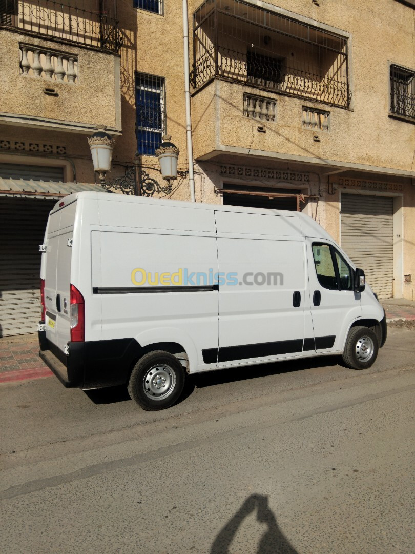 Fiat ducato L2H2 2024