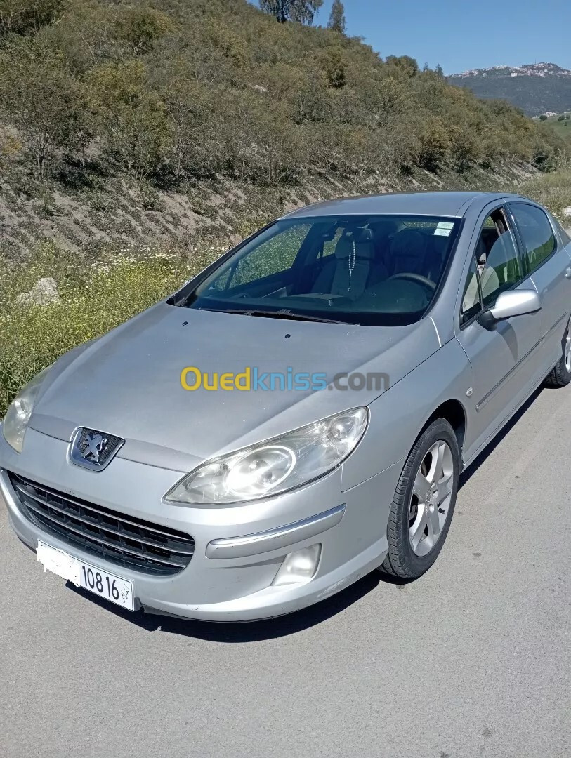 Peugeot 407 2008 407