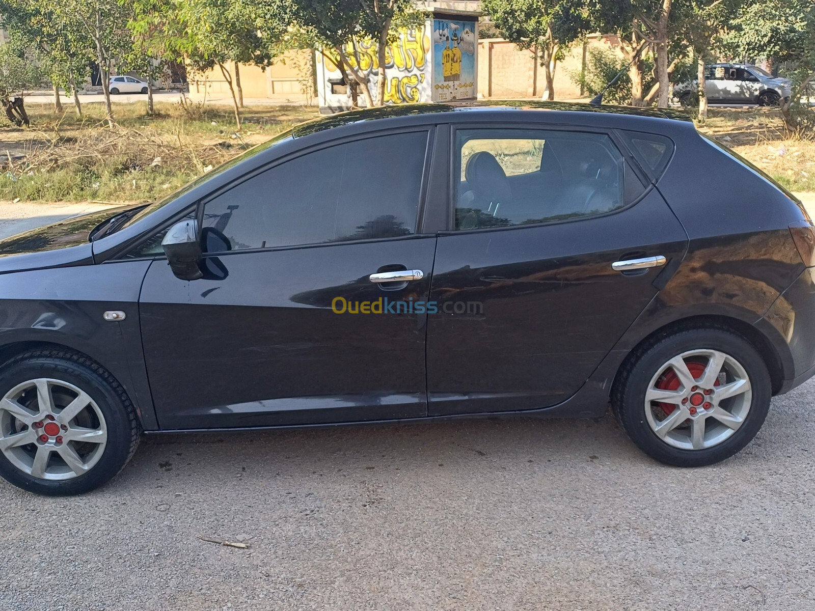 Seat Ibiza 2010 Loca