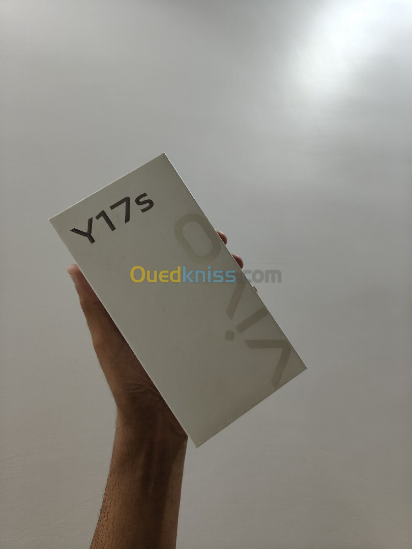 Vivo Y17s