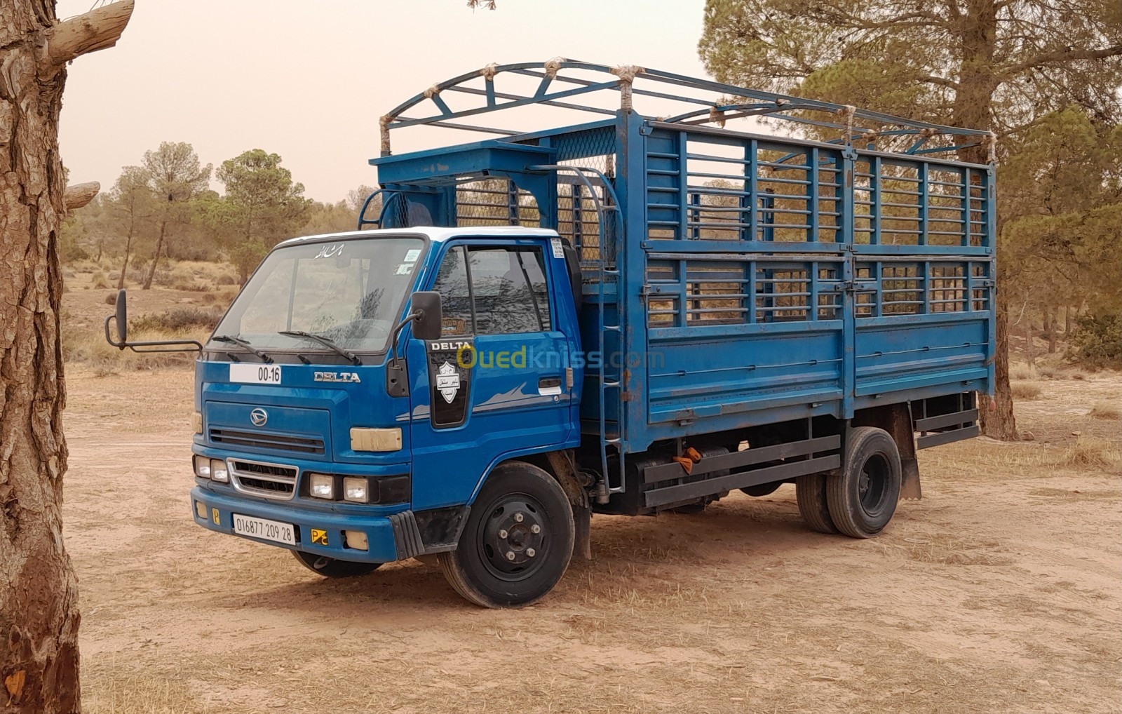 Toyota Daihatsu 2009