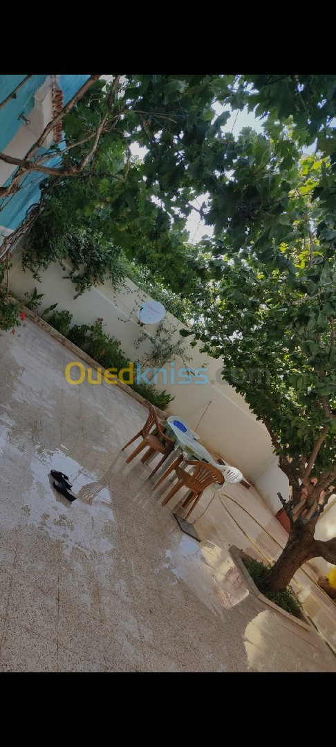 Location Appartement F2 Mostaganem Sidi lakhdaara