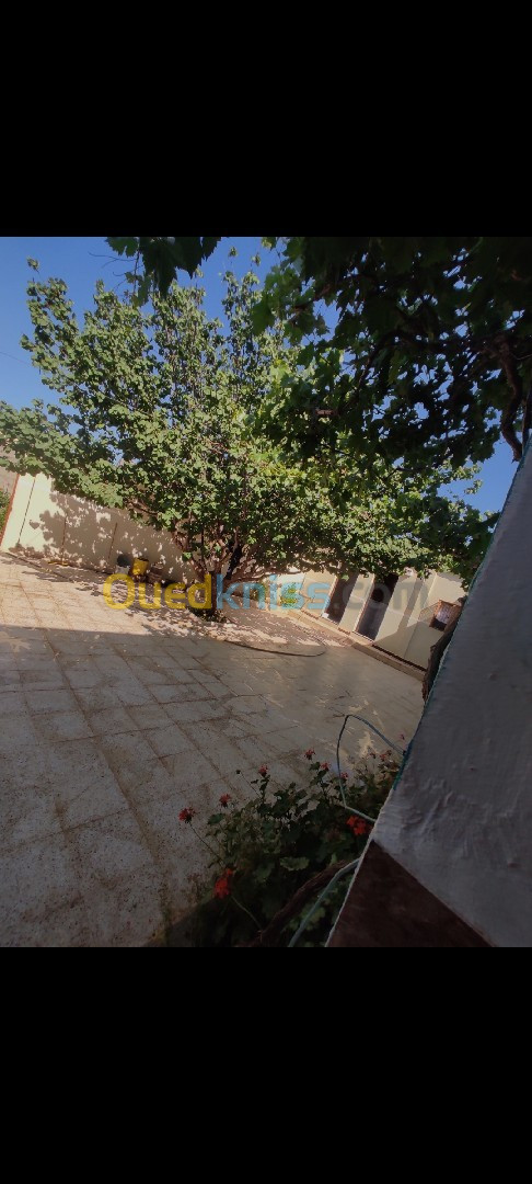 Location Appartement F2 Mostaganem Sidi lakhdaara