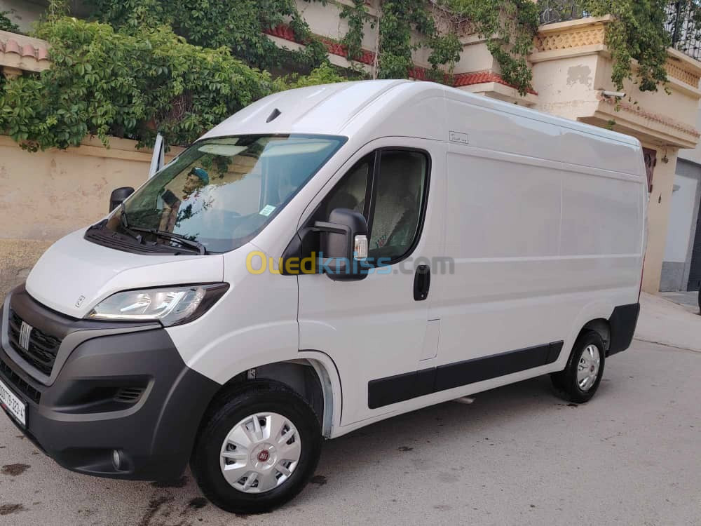 Fiat De catou 2023 2023