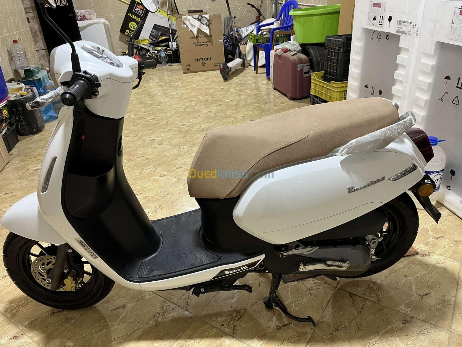 Panarea Benelli 2023