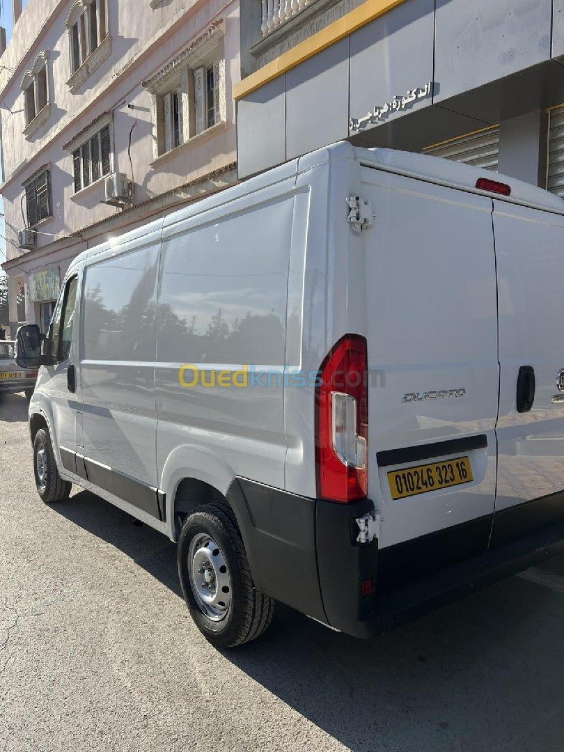 ducato Fiat 2023