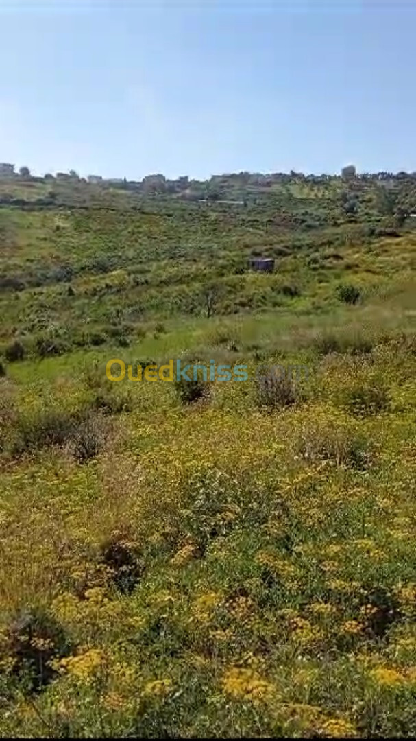 Vente Terrain Tizi Ouzou Tigzirt