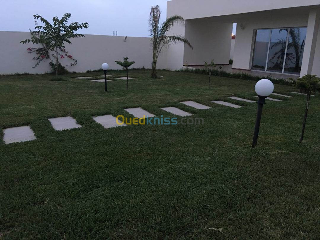 Vente Niveau De Villa F5 Tlemcen Marsa ben mhidi