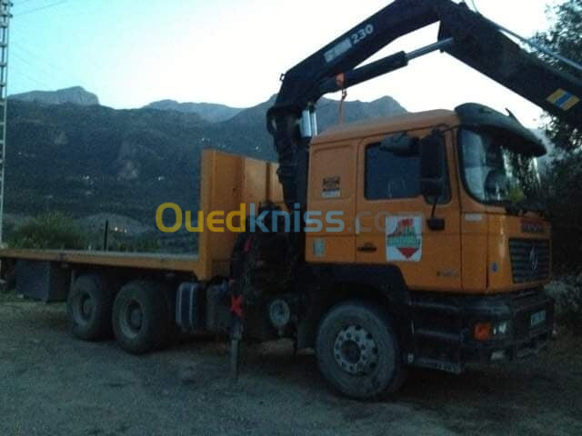 Camion grue Shacman 2010