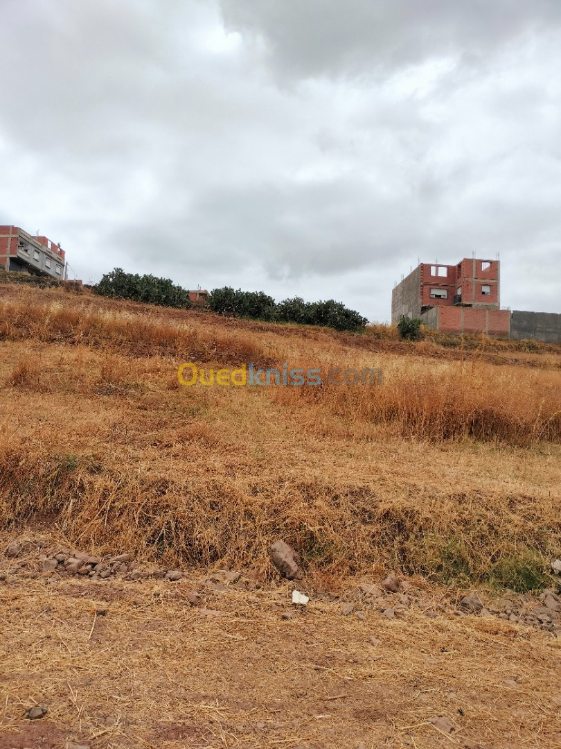 Vente Terrain Boumerdès Ouled moussa