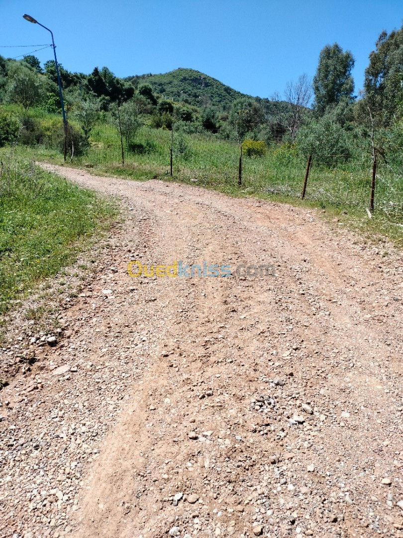 Vente Terrain Boumerdès Boudouaou