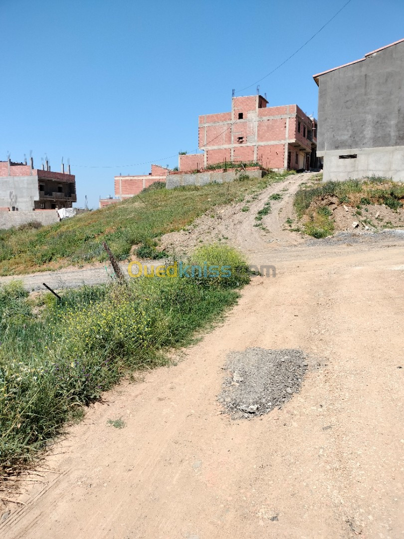 Vente Terrain Boumerdès Ouled moussa