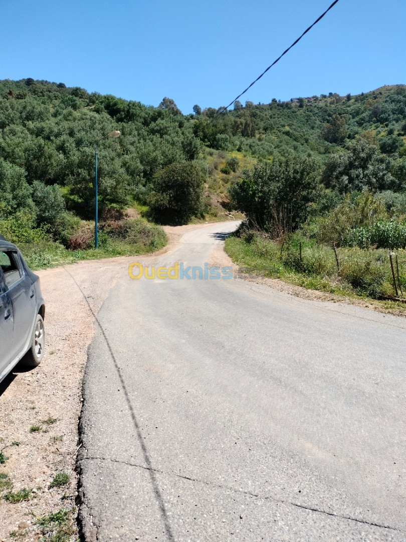 Vente Terrain Boumerdès Boudouaou