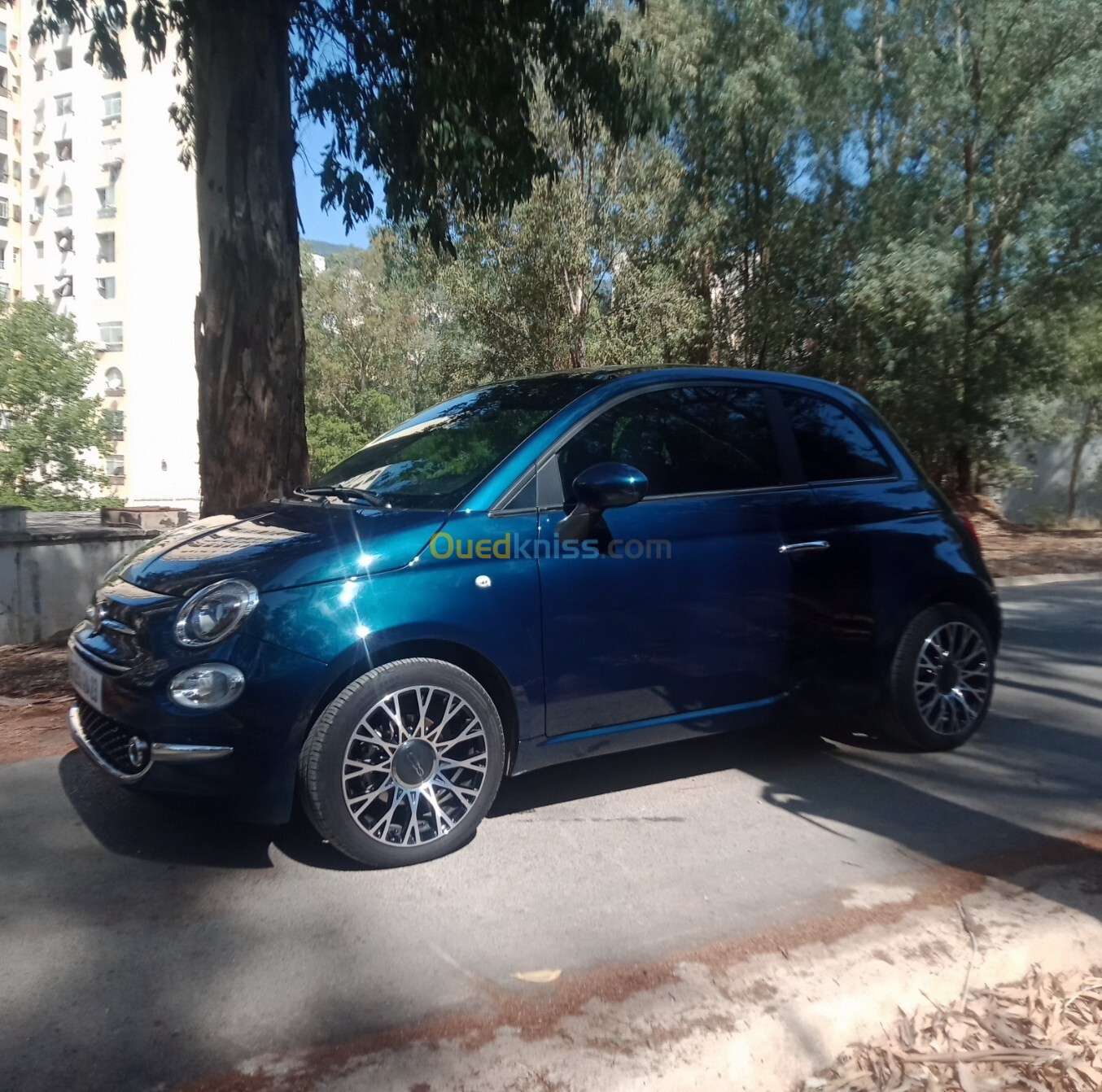 Fiat 500 2024 DV