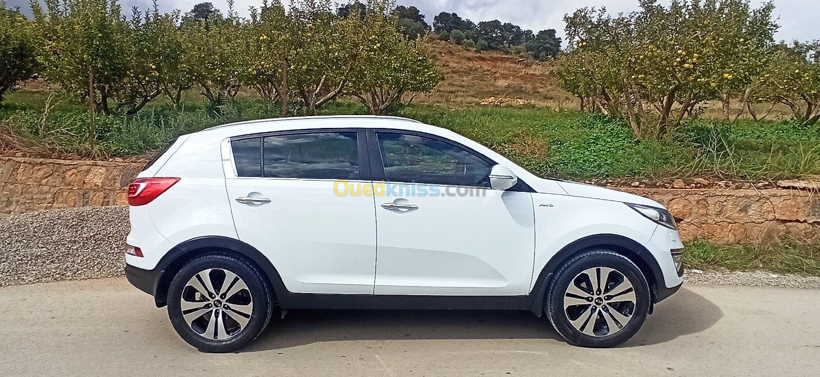 Kia Sportage 2014 Sportage