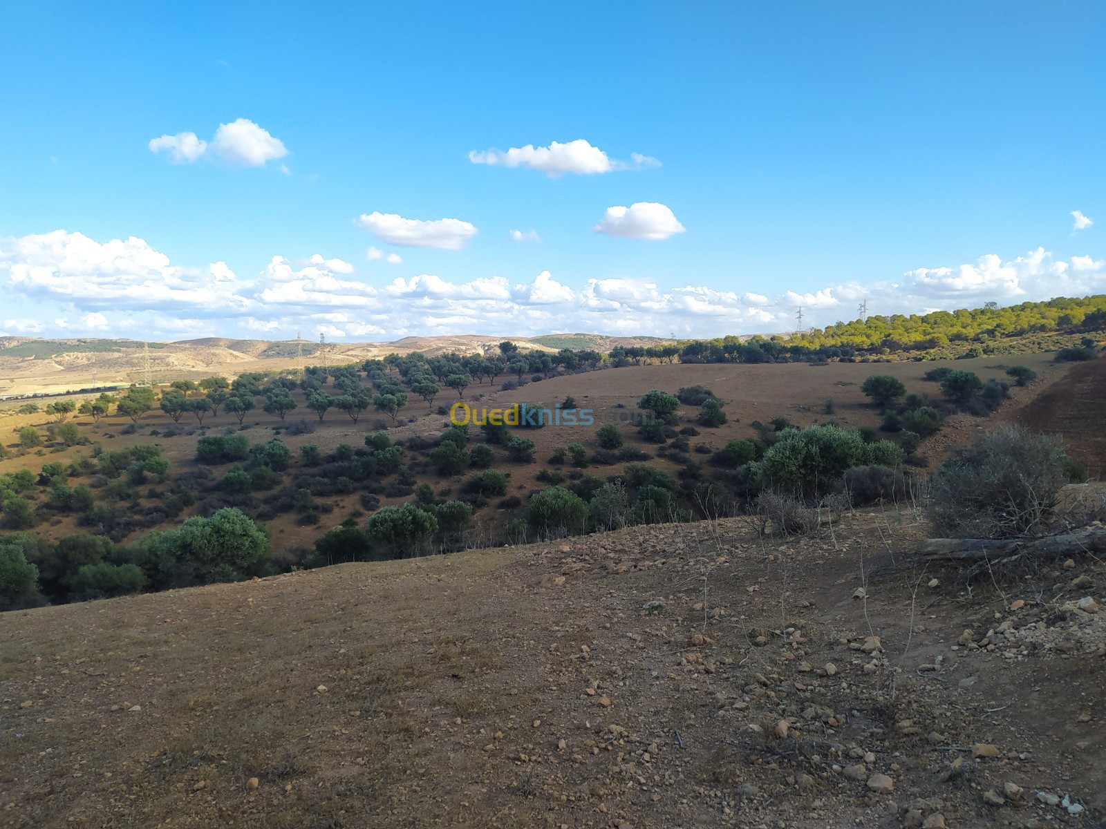 Vente Terrain Agricole Mascara Zahana