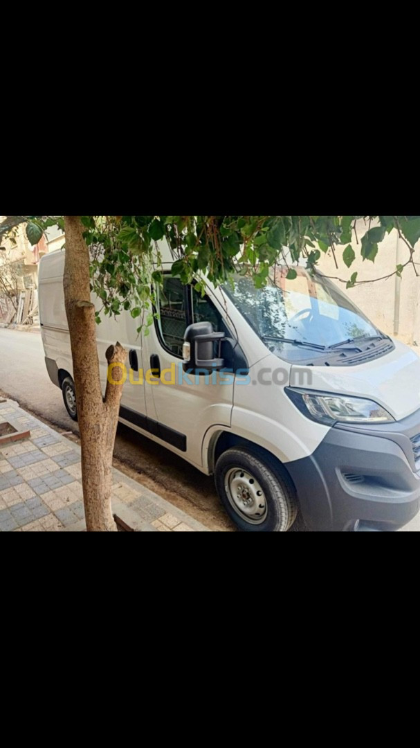 Fiat Ducato 2023 Ducato