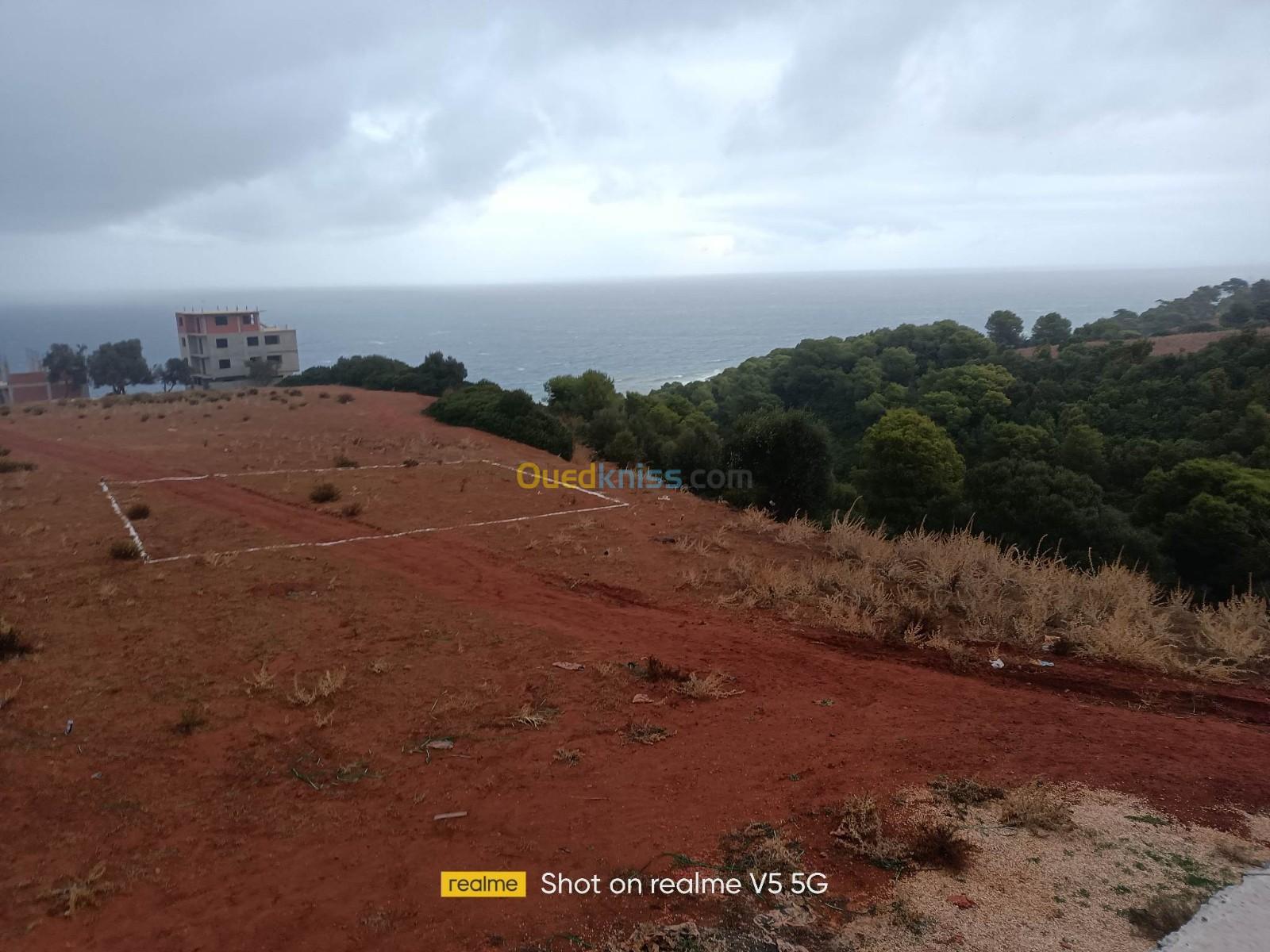 Vente Terrain Tipaza Ain tagourait