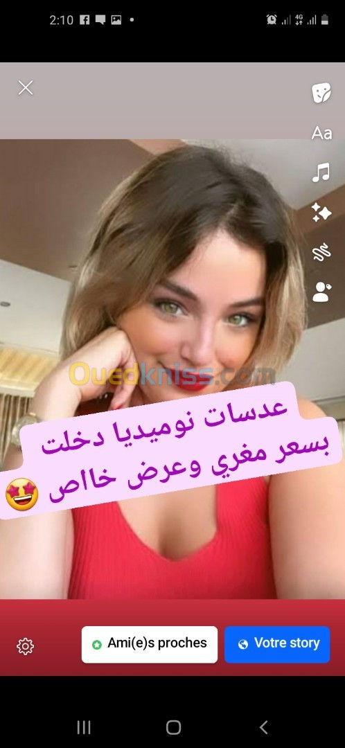 عدسات نومييديا الاكثر طلبا الوان طبيعية 