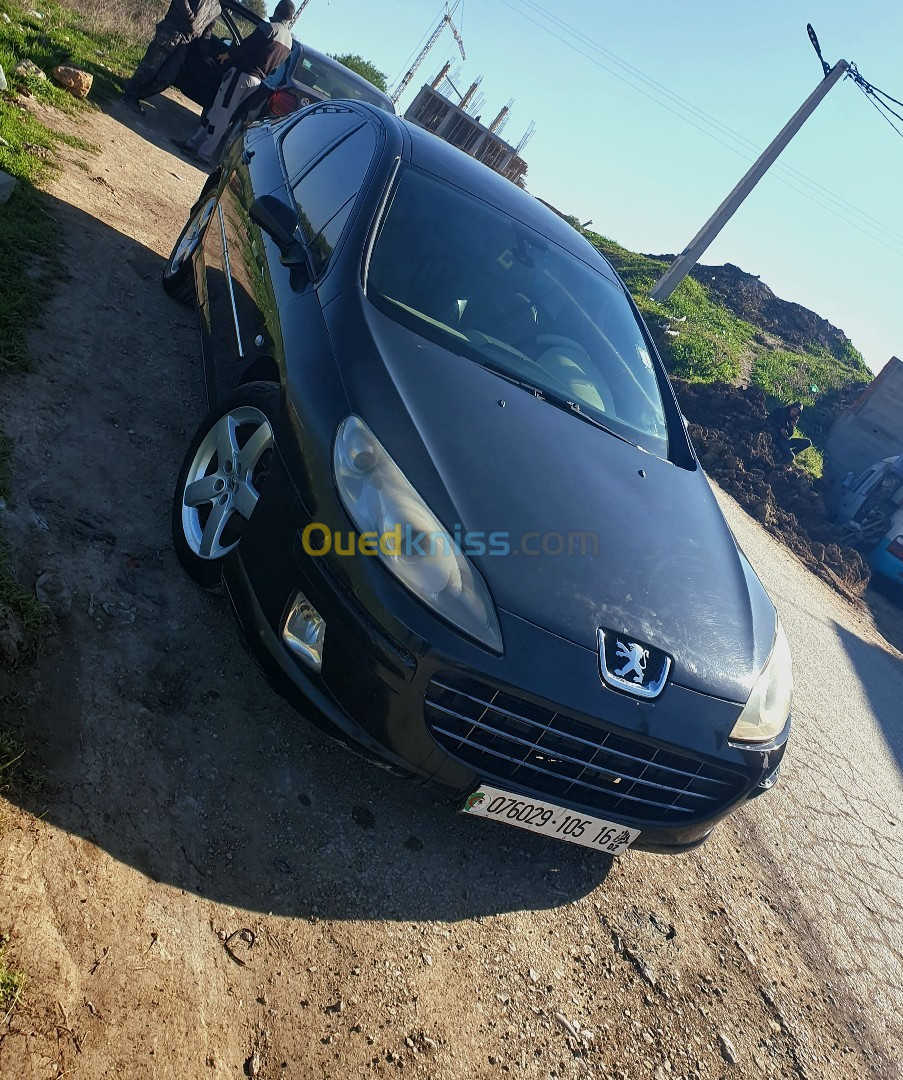 Peugeot 407 2005 407