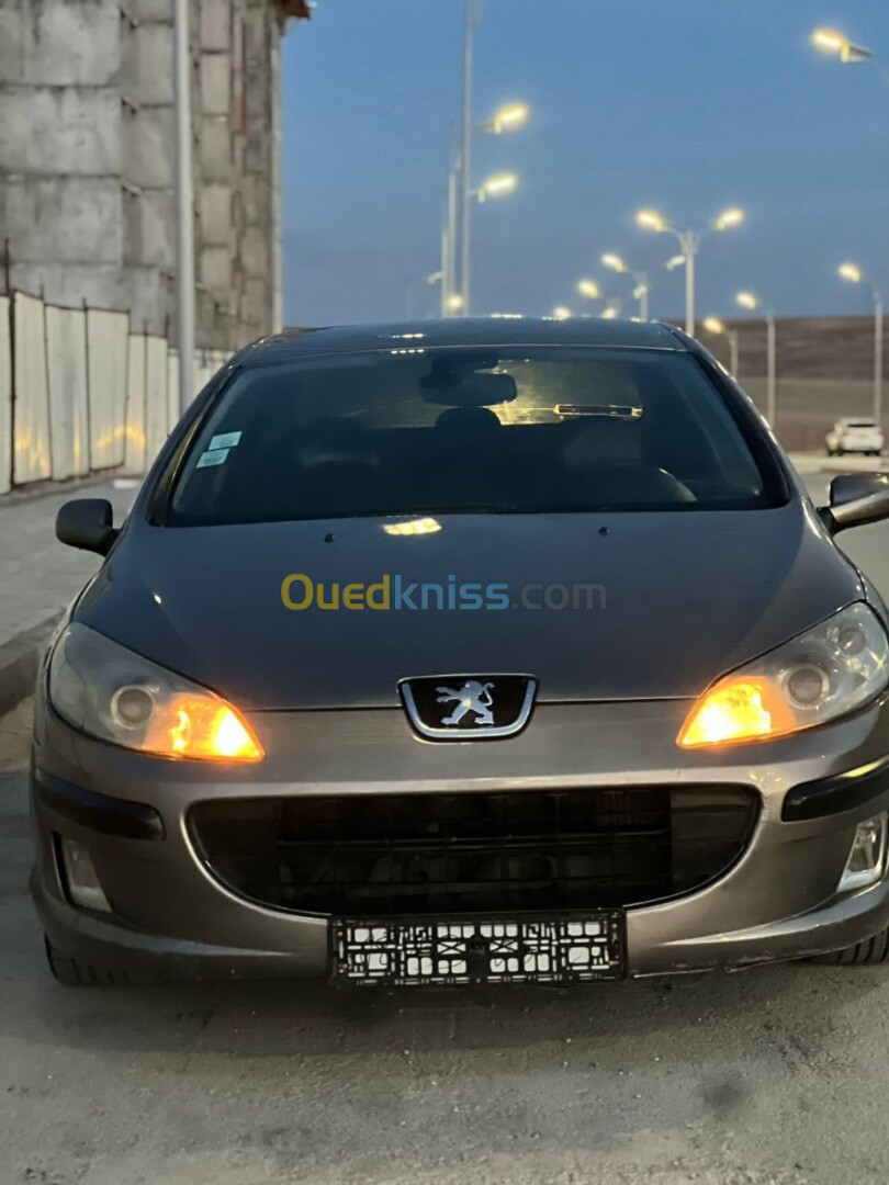 Peugeot 407 2005 407