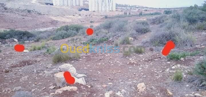 Vente Terrain Tlemcen Tlemcen