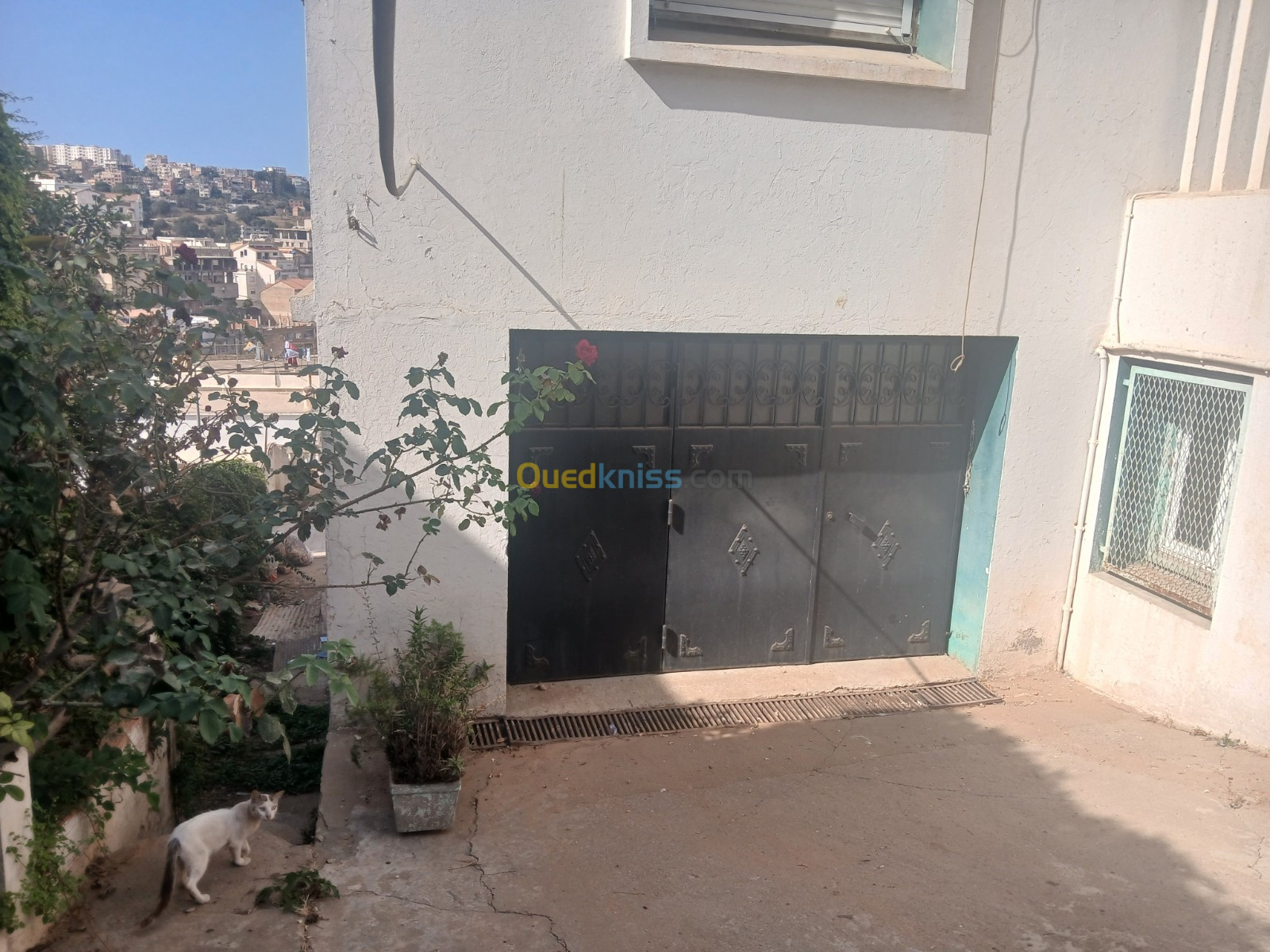 Vente Villa Alger El biar