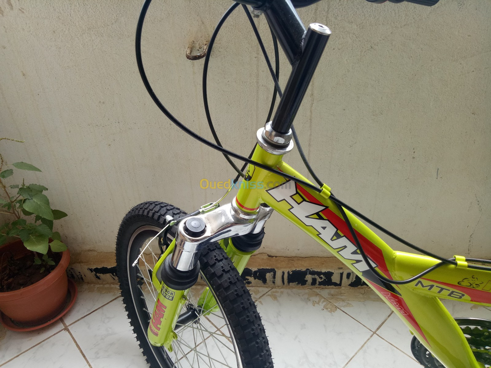 1 vélo HAM mtb origine