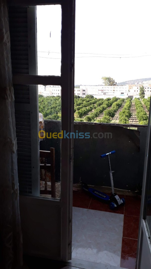 Vente Appartement Blida Larbaa