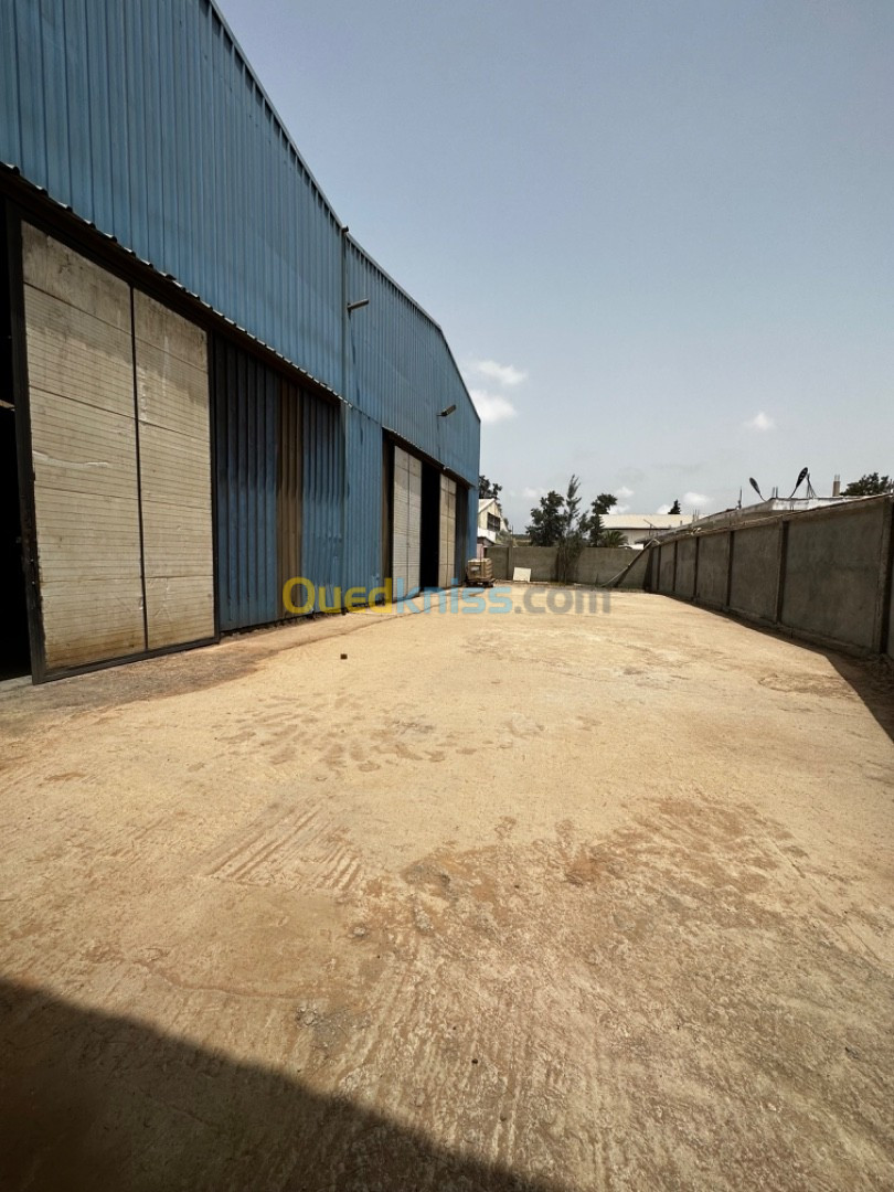 Location Hangar Tipaza Tipaza