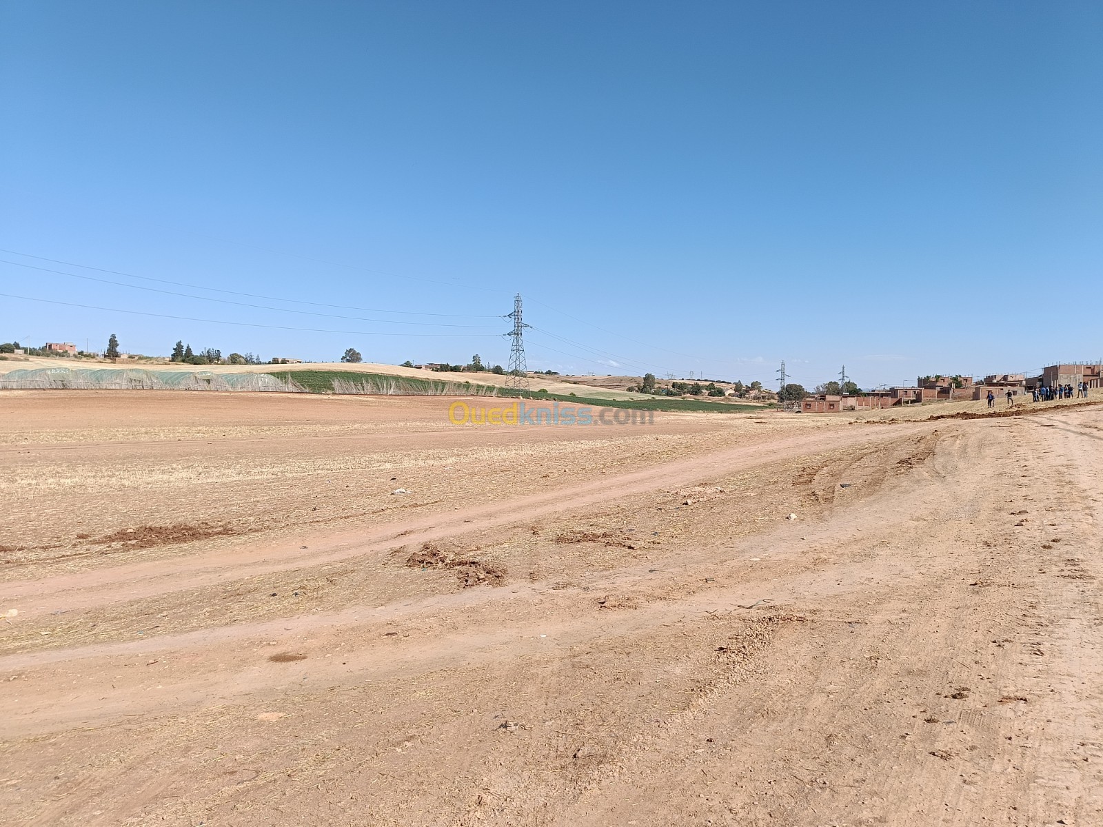 Vente Terrain Aïn Defla El attaf Aïn Defla Algérie