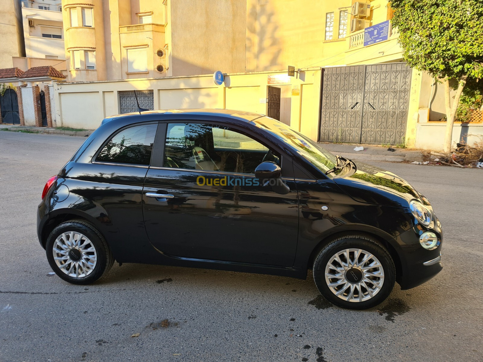 Fiat 500 2024 Club