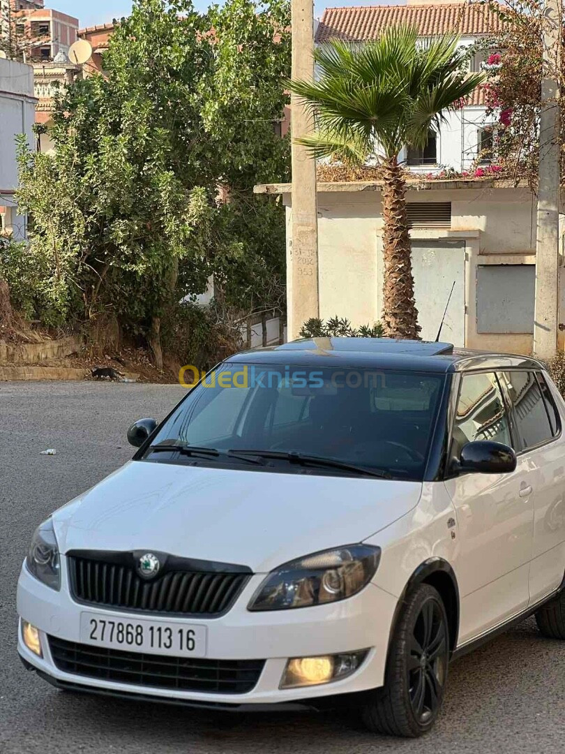 Skoda Fabia 2013 Monte Carlo