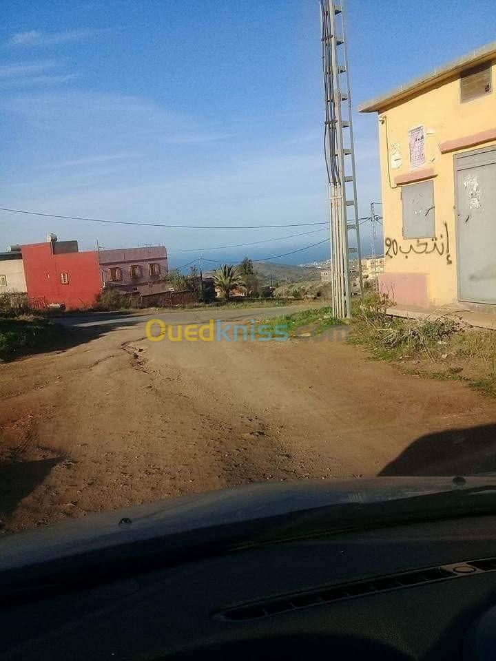 Vente Terrain Tlemcen Souahlia