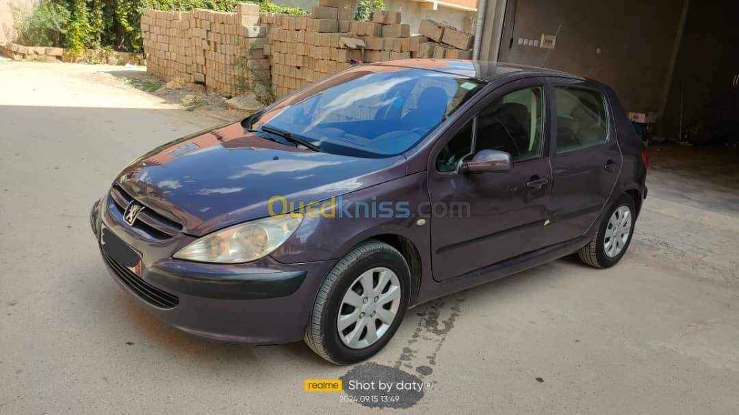 Peugeot 307 2001 307